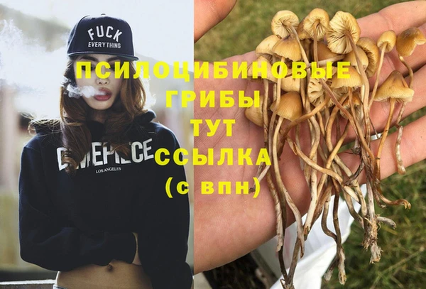 jwh Армянск
