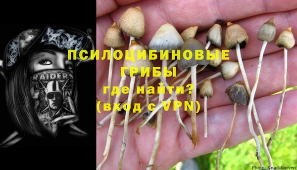 дурь Арсеньев
