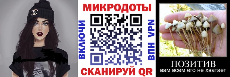 Псилоцибиновые грибы ЛСД  Калач-на-Дону 